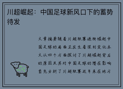 川超崛起:中国足球新风口下的蓄势待发 川超崛起:中国足球新风口下的蓄势待发